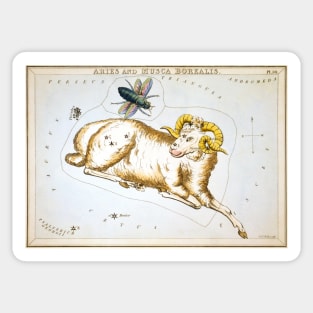 Aries constellation and Musca Borealis Sticker